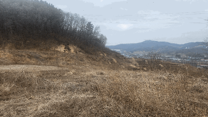 충청남도 아산시 음봉면 동암리 336 외 24필지 답 경매 사진 43