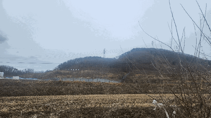 충청남도 아산시 음봉면 동암리 336 외 24필지 답 경매 사진 48
