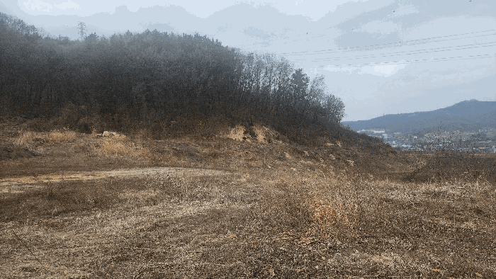 충청남도 아산시 음봉면 동암리 336 외 24필지 답 경매 사진 55
