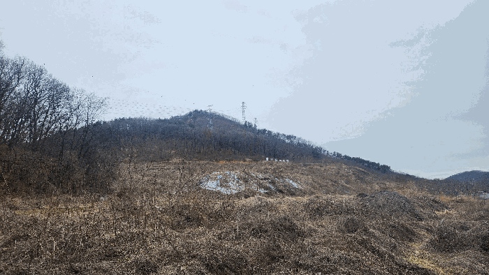 충청남도 아산시 음봉면 동암리 336 외 24필지 답 경매 사진 57