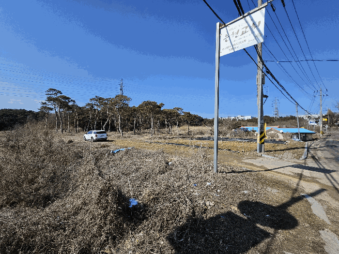 충청남도 아산시 인주면 금성리 80-17 답 경매 사진 13