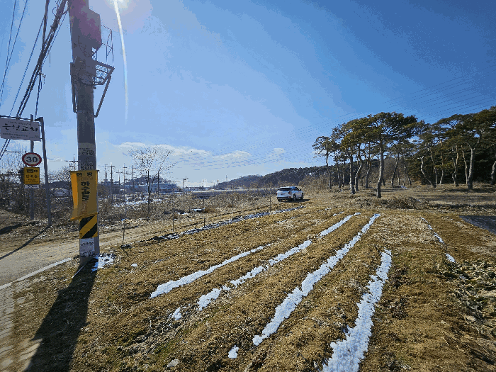 충청남도 아산시 인주면 금성리 80-17 답 경매 사진 15