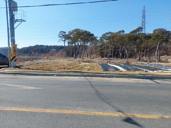 충청남도 아산시 인주면 금성리 80-17 답 경매 사진 8