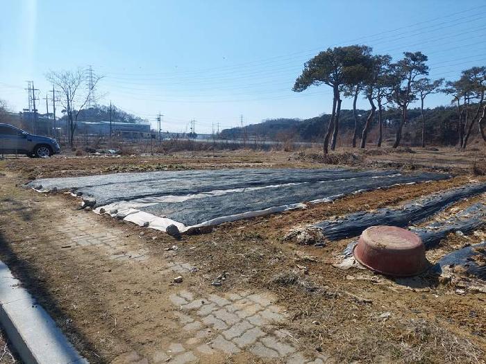 충청남도 아산시 인주면 금성리 80-17 답 경매 사진 9