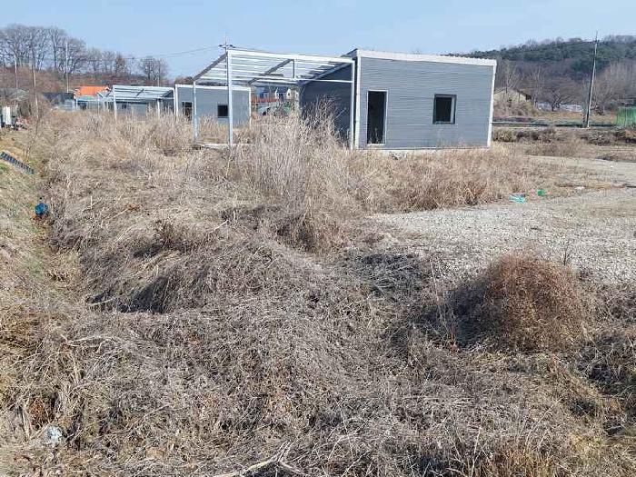 충청남도 아산시 신창면 행목리 77 외 2필지 전 경매 사진 11