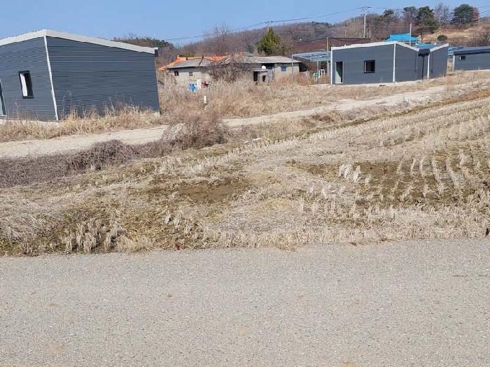 충청남도 아산시 신창면 행목리 77 외 2필지 전 경매 사진 3