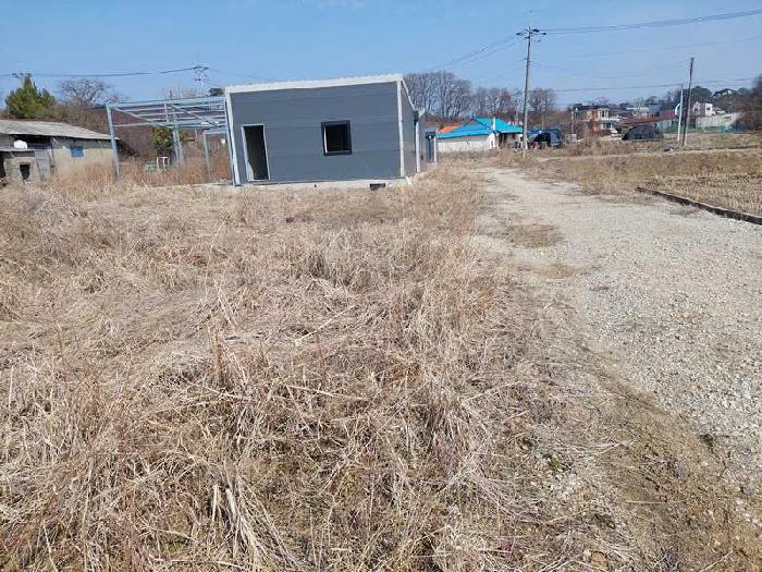충청남도 아산시 신창면 행목리 77 외 2필지 전 경매 사진 4