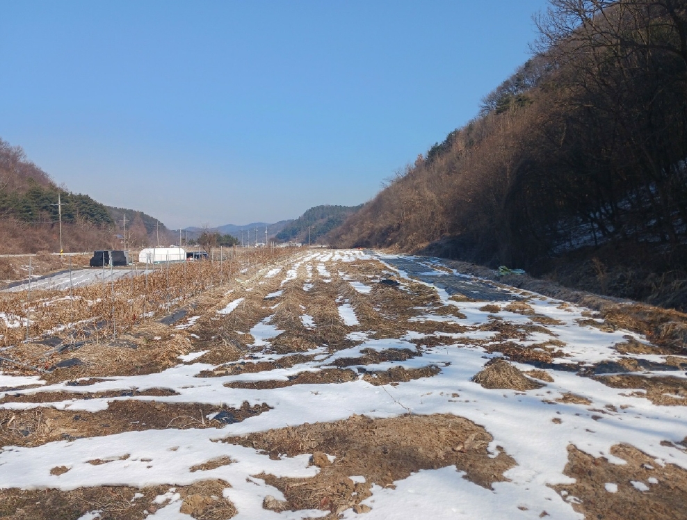 충청남도 공주시 계룡면 내흥리 725 답 경매 사진 9