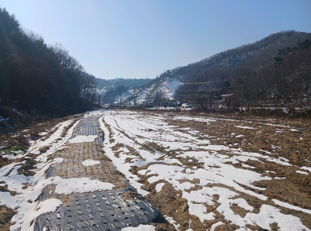 충청남도 공주시 계룡면 내흥리 725 답 경매 사진 10