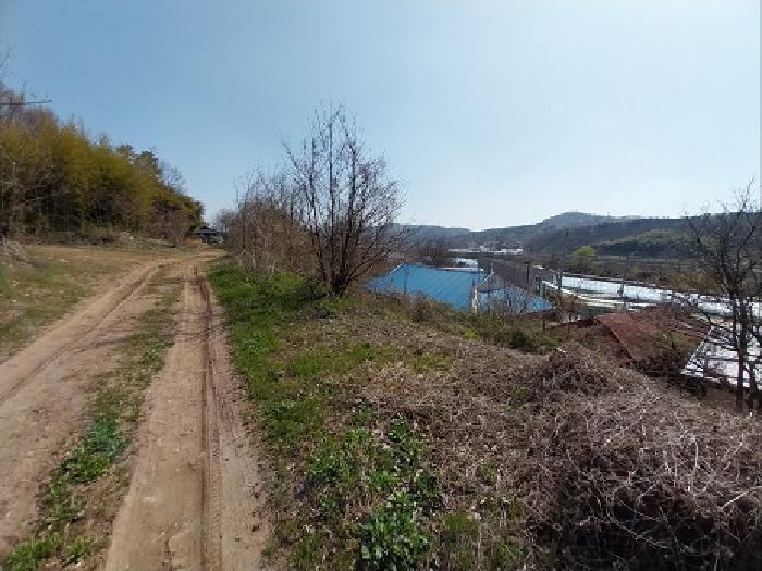 충청남도 공주시 계룡면 상성리 170-1 외 10필지 단독주택 경매 사진 1