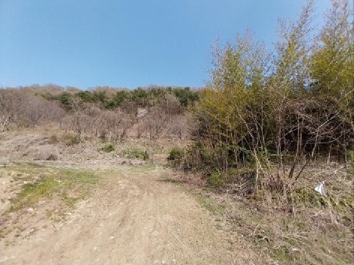 충청남도 공주시 계룡면 상성리 170-1 외 10필지 단독주택 경매 사진 11