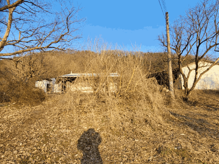 충청남도 공주시 계룡면 상성리 170-1 외 10필지 단독주택 경매 사진 29
