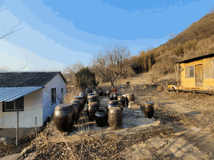 충청남도 공주시 계룡면 상성리 170-1 외 10필지 단독주택 경매 사진 49
