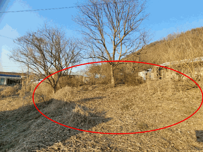 충청남도 공주시 계룡면 상성리 170-1 외 10필지 단독주택 경매 사진 50