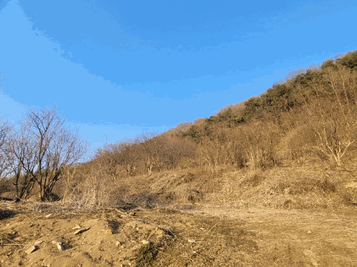 충청남도 공주시 계룡면 상성리 170-1 외 10필지 단독주택 경매 사진 51