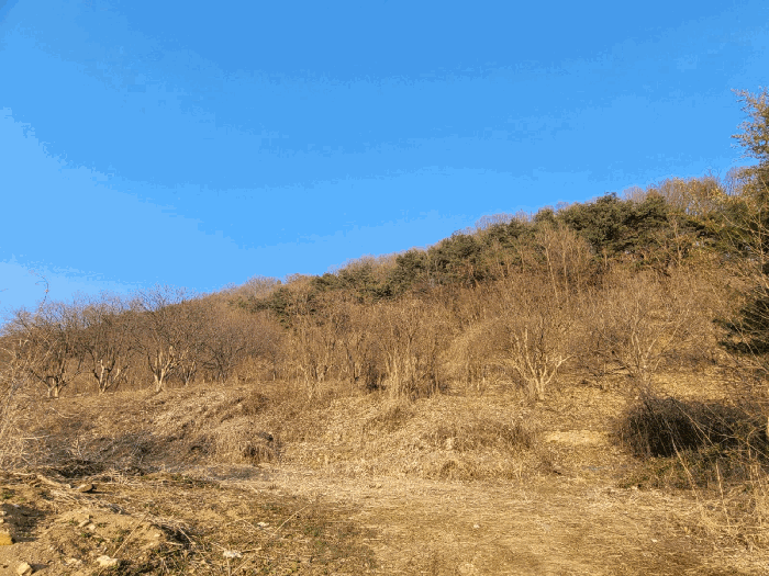 충청남도 공주시 계룡면 상성리 170-1 외 10필지 단독주택 경매 사진 52