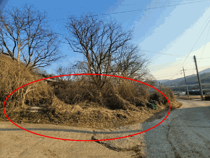 충청남도 공주시 계룡면 상성리 170-1 외 10필지 단독주택 경매 사진 53