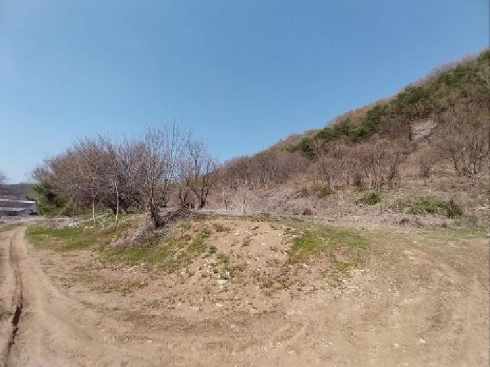 충청남도 공주시 계룡면 상성리 170-1 외 10필지 단독주택 경매 사진 10