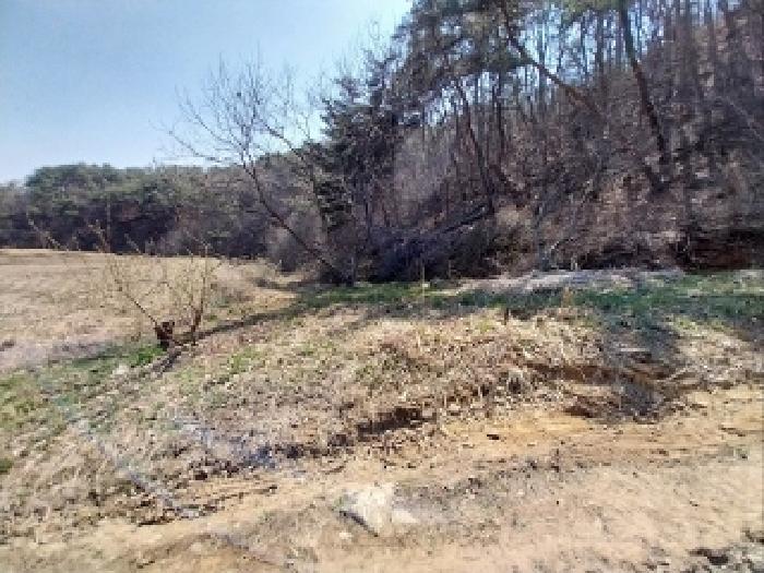 충청남도 공주시 우성면 방문리 635 외 2필지 전 경매 사진 1