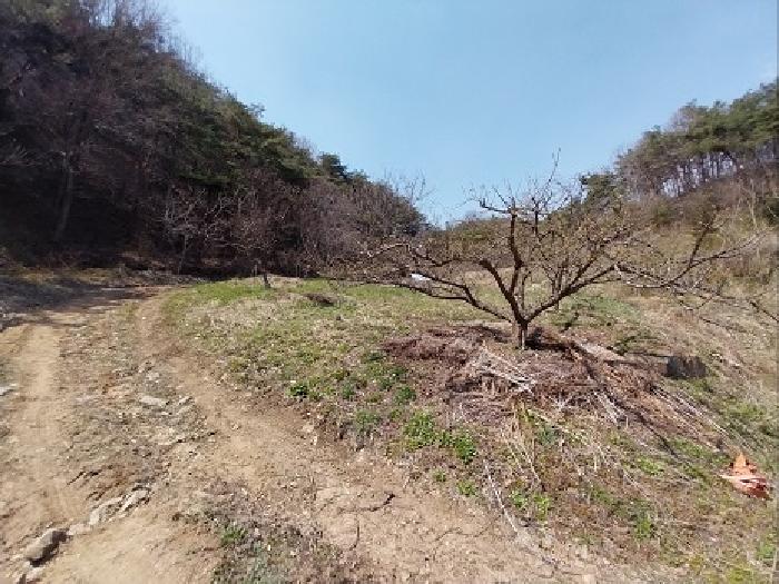 충청남도 공주시 우성면 방문리 635 외 2필지 전 경매 사진 2