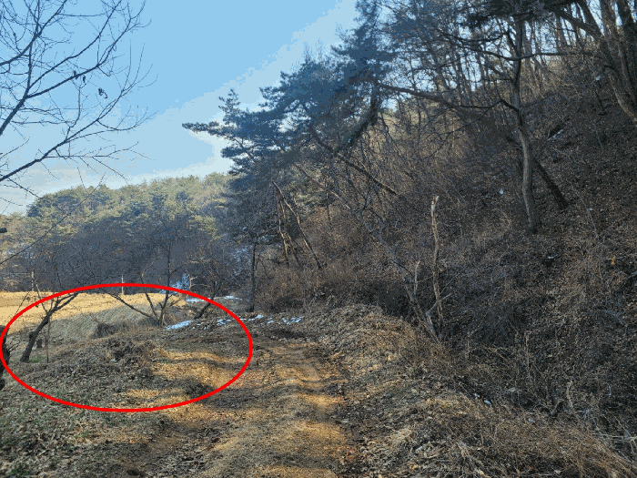충청남도 공주시 우성면 방문리 635 외 2필지 전 경매 사진 5