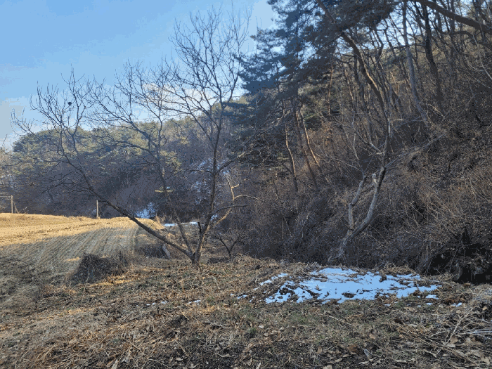충청남도 공주시 우성면 방문리 635 외 2필지 전 경매 사진 6