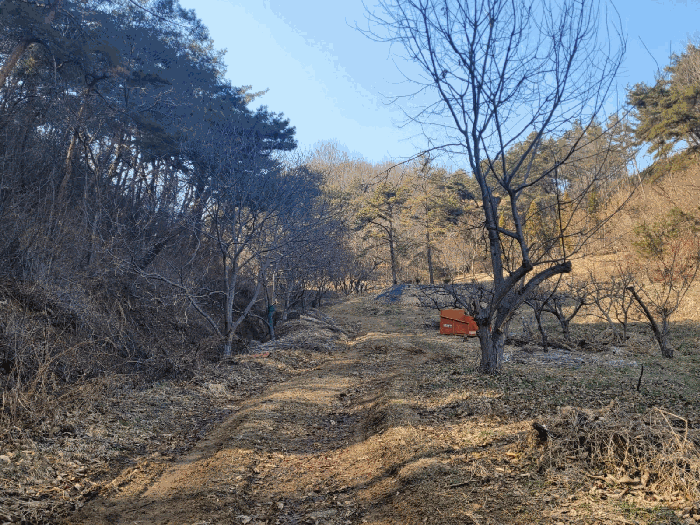 충청남도 공주시 우성면 방문리 635 외 2필지 전 경매 사진 8
