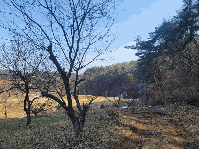 충청남도 공주시 우성면 방문리 635 외 2필지 전 경매 사진 9