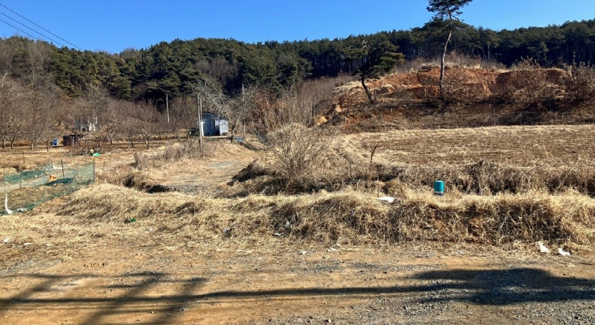 충청남도 공주시 의당면 수촌리 산13-23 외 2필지 임야 경매 사진 3