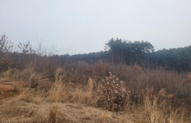 충청남도 공주시 의당면 수촌리 산13-23 외 2필지 임야 경매 사진 7