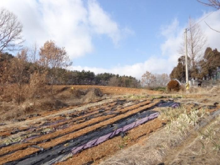 충청남도 태안군 남면 몽산리 286-3 외 10필지 단독주택 경매 사진 4