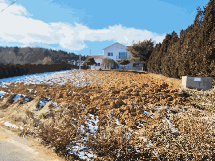 충청남도 태안군 남면 몽산리 286-3 외 10필지 단독주택 경매 사진 49