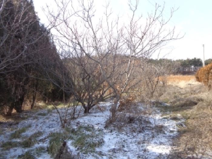 충청남도 태안군 남면 몽산리 286-3 외 10필지 단독주택 경매 사진 9