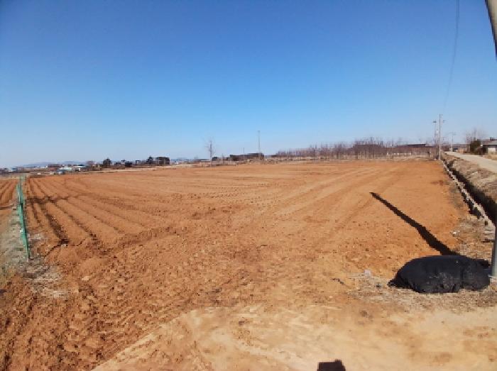 충청남도 서산시 고북면 신상리 1041 답 경매 사진 17