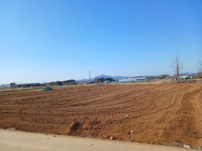 충청남도 서산시 고북면 신상리 1041 답 경매 사진 18
