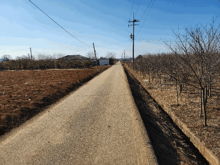 충청남도 서산시 고북면 신상리 1041 답 경매 사진 27