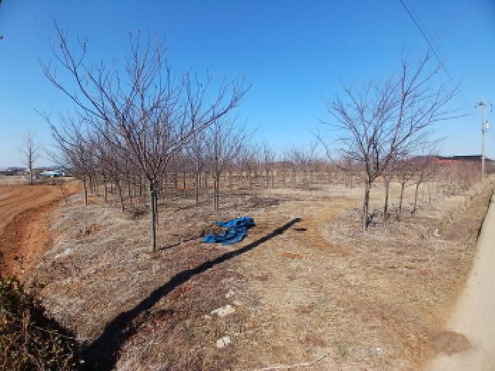 충청남도 서산시 고북면 신상리 1041 답 경매 사진 19