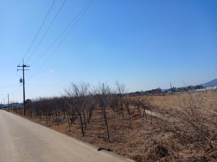 충청남도 서산시 고북면 신상리 1041 답 경매 사진 21