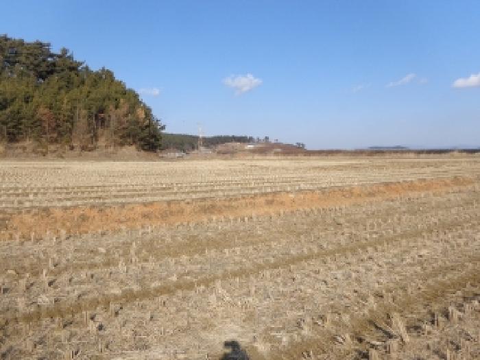 충청남도 태안군 남면 양잠리 434-14 임야 경매 사진 9