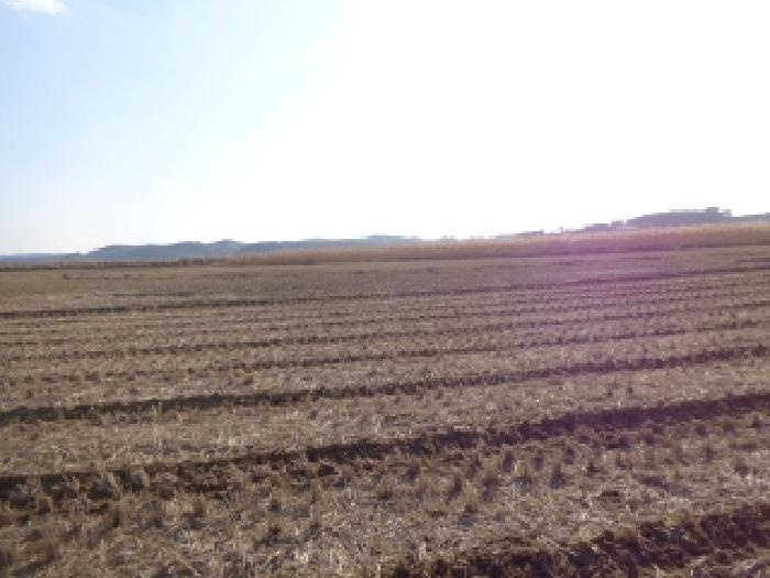 충청남도 태안군 남면 양잠리 434-14 임야 경매 사진 11