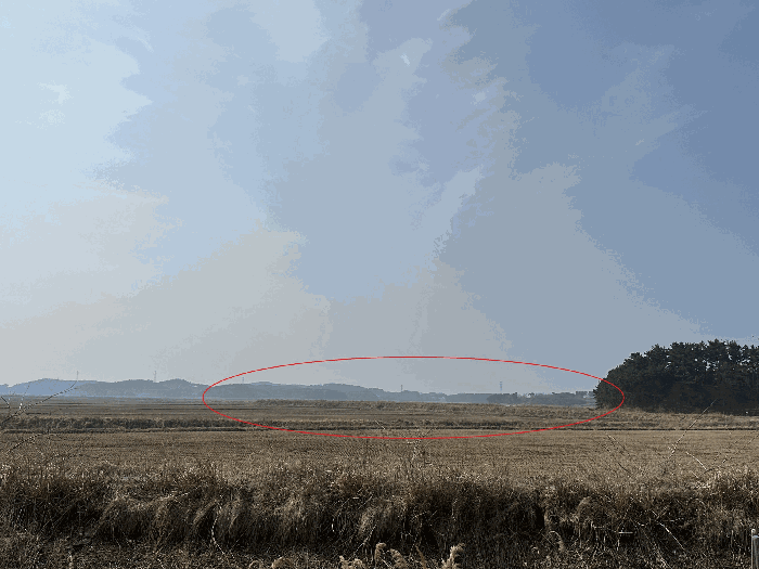 충청남도 태안군 남면 양잠리 434-14 임야 경매 사진 14