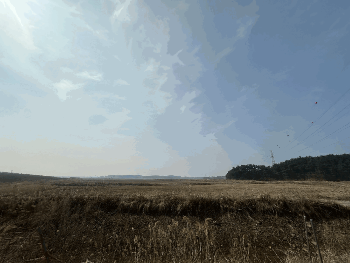충청남도 태안군 남면 양잠리 434-14 임야 경매 사진 15