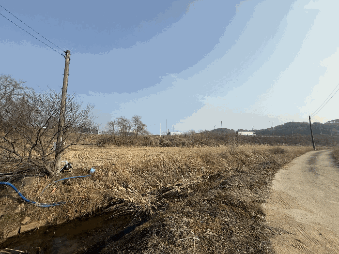 충청남도 당진시 석문면 삼봉리 1081-38 외 2필지 임야 경매 사진 14