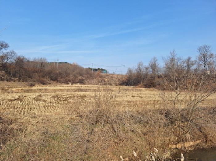 충청남도 당진시 석문면 삼봉리 1081-38 외 2필지 임야 경매 사진 4