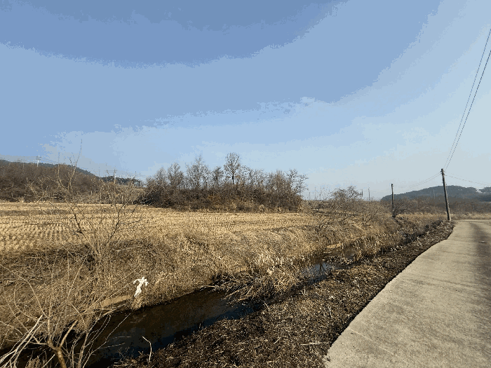 충청남도 당진시 석문면 삼봉리 1081-38 외 2필지 임야 경매 사진 7