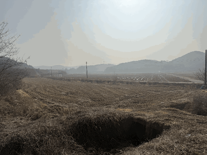 충청남도 당진시 석문면 삼봉리 1081-38 외 2필지 임야 경매 사진 9