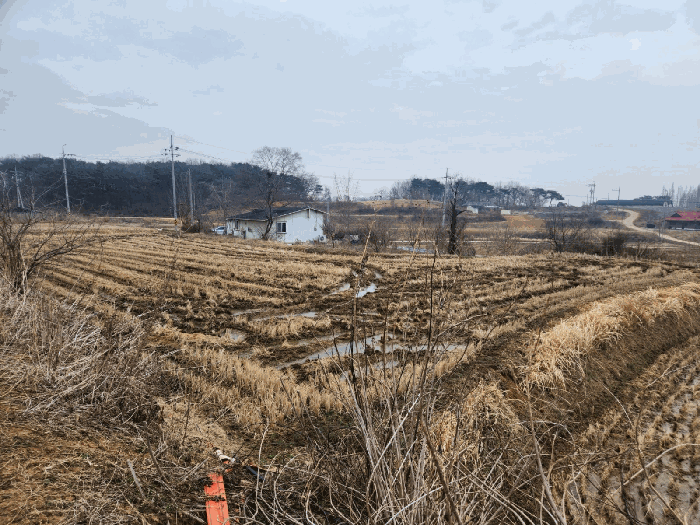 충청남도 당진시 송악읍 중흥리 146 답 경매 사진 25