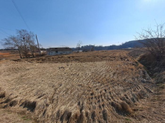 충청남도 당진시 송악읍 중흥리 146 답 경매 사진 18