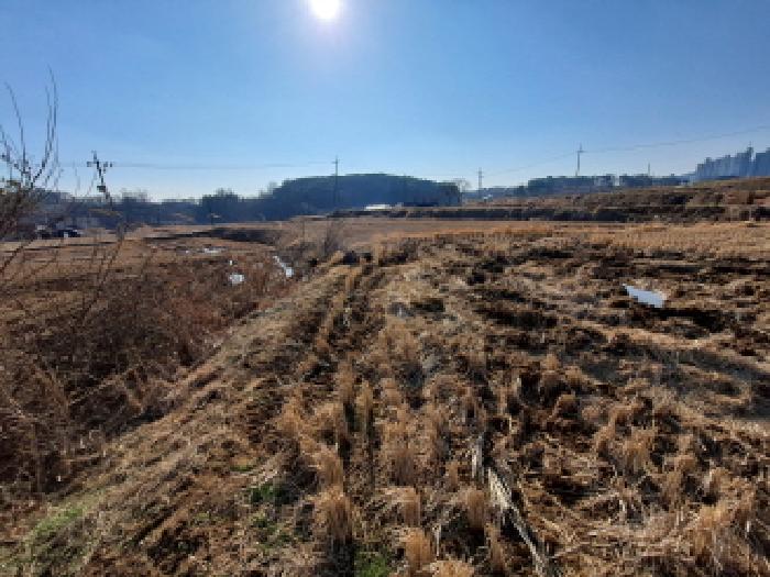 충청남도 당진시 송악읍 중흥리 146 답 경매 사진 20