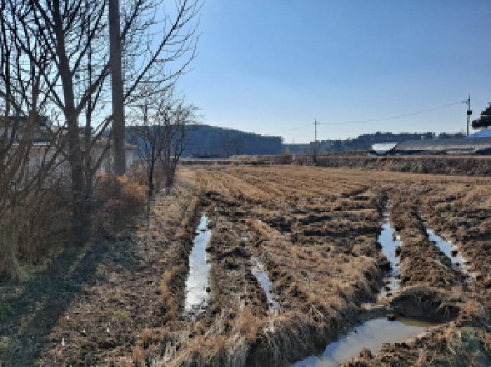 충청남도 당진시 송악읍 중흥리 146 답 경매 사진 21